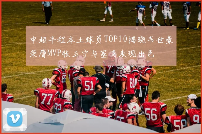 中超半程本土球员TOP10揭晓韦世豪荣膺MVP张玉宁与塞鸟表现出色